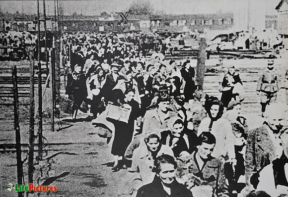 Arrival of prisoners to the camp