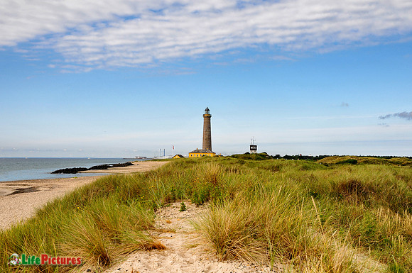 Grenen