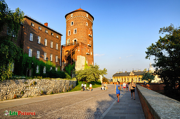 Wakling on the Wawel