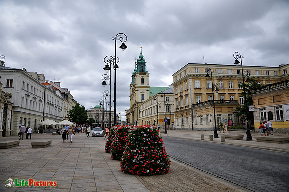 Flowers along the main street