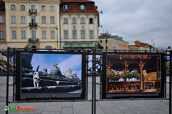 Paintings