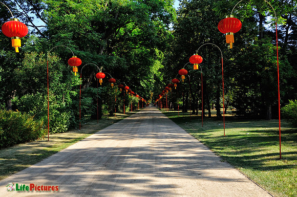 Walking path inside of Park Łazienkowski