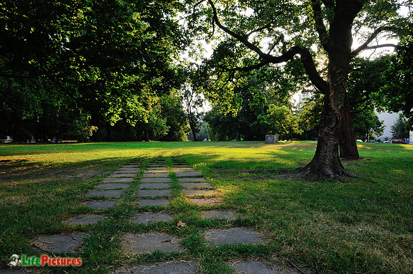 The park and its misteries