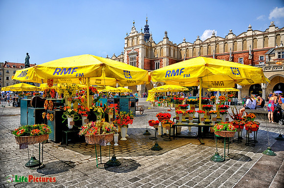 Selling flowers in Cracow Rynek