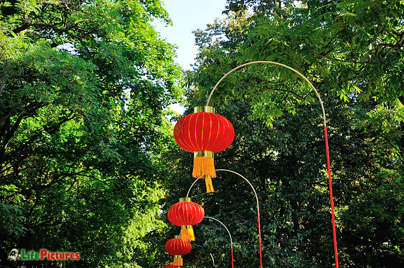 Red lamps