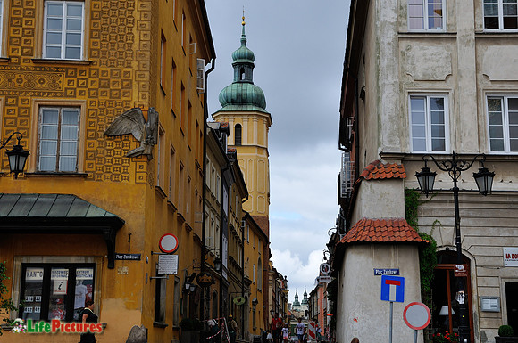 DSC_2475