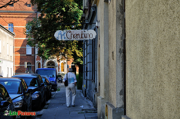 ArtCherubino