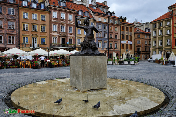 The mermaid
