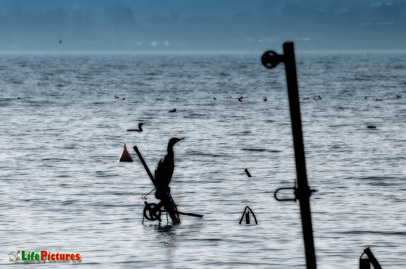 Pescate (Lecco)