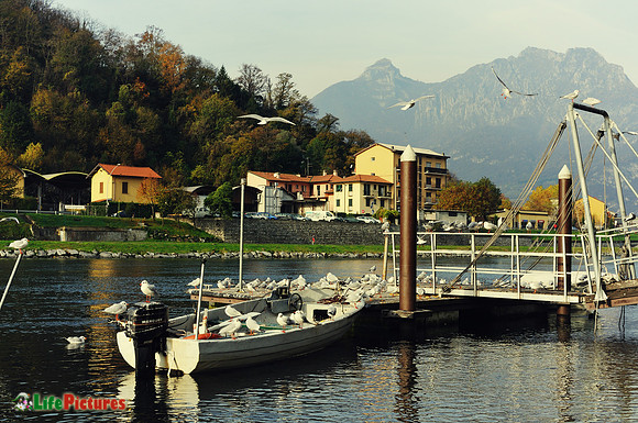 Pescarenico