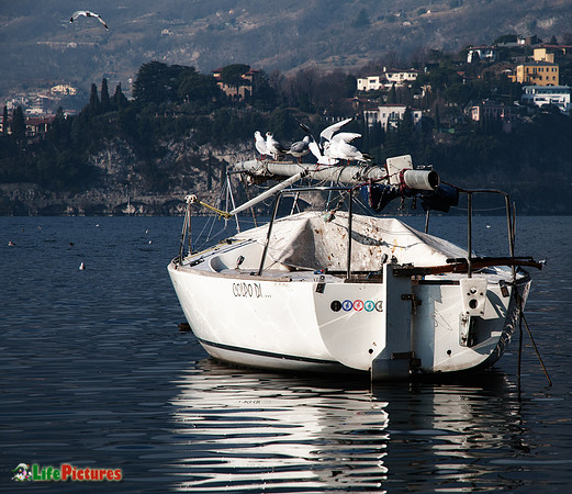 Lecco