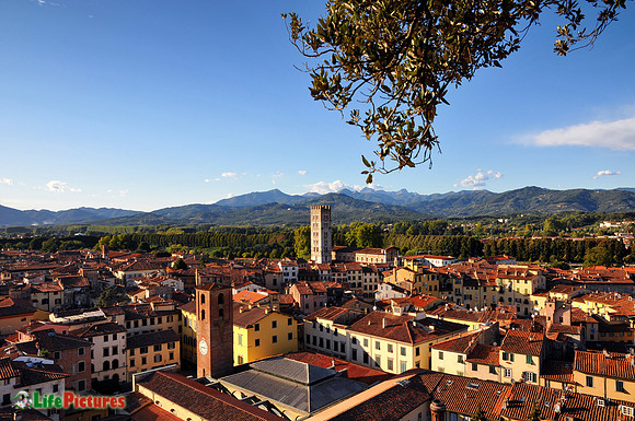 Lucca viewed from Guinigi Tower