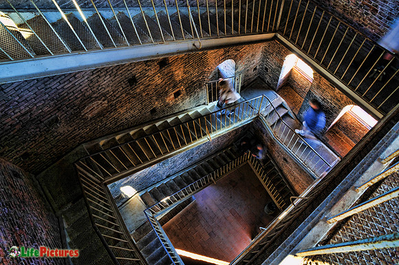 Lucca, Inside of Guinigi Tower