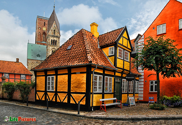 Ribe