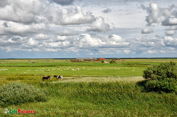 Rømø